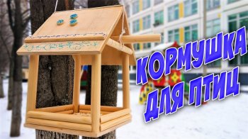 Школьная акция "Кормушка в каждый двор"